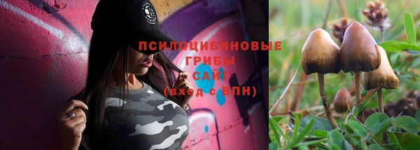 спиды Абдулино