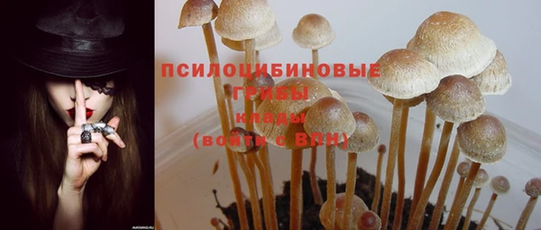 PSILOCYBIN Абинск