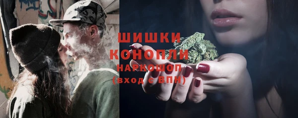 сатива Михайловка
