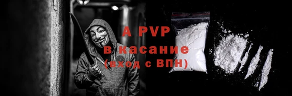 PSILOCYBIN Билибино