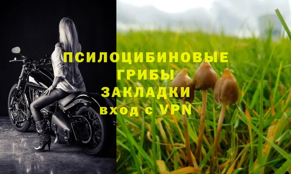 спиды Абдулино