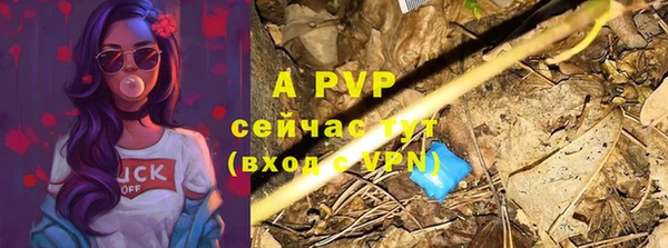 гашик Абаза