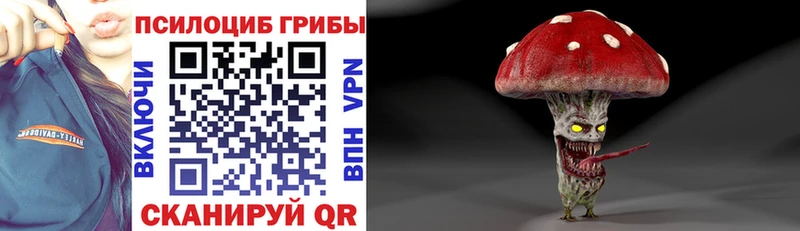 купить  цена  Фокино  Псилоцибиновые грибы мицелий 